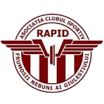 acs-rapid-frumosii-nebuni-ai-giulestiului-ii