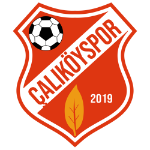 calikoyspor