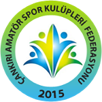 Çankırı 1. Amatör Ligi