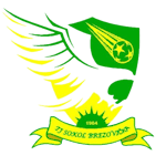 tj-sokol-brezovicka