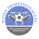 windy-professionals