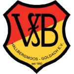 vfb-hallbergmoos