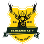 berekum-city-fc