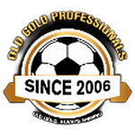 fc-old-gold-professional