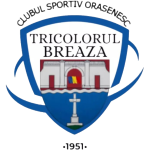 cso-tricolorul-breaza