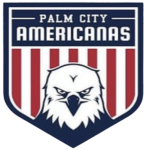 palm-city-americanas