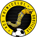 acs-voinicelul-gostilele
