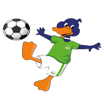 municipal-de-pucon-u9