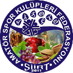 Siirt 1. Amatör Ligi