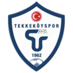 tekkekoyspor