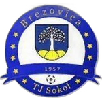 fk-tj-sokol-brezovica
