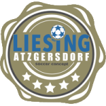 liesing-ask