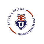 cfyp-u-de-chile-zona-sur-u9