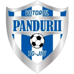 viitorul-pandurii-targu-jiu-ii