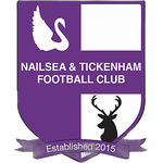 nailsea-and-tickenham-fc