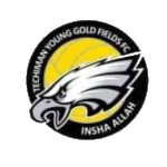 techiman-goldfields-fc