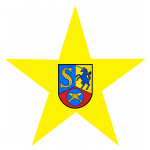 fc-yellow-star