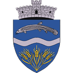 acs-milenium-vargata