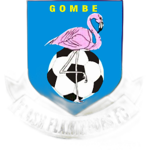 flash-flamingoes-fc-gombe