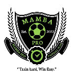 mamba-pro-fc