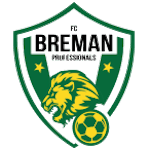 fc-breman-professionals