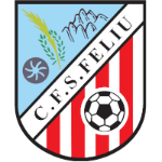 cf-sant-feliu-de-codines