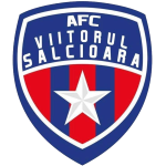 fc-viitorul-salcioara