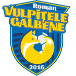 vulpitele-galbene-roman