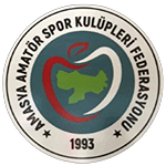 Amasya 1. Amatör Ligi