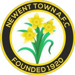 newent-town-afc