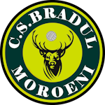 cs-bradul-moroeni