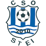 cso-stei