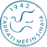 carpati-mefin-sinaia