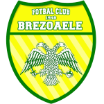 afc-1948-brezoaele