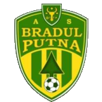 cs-bradul-putna