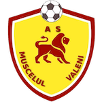 acs-muscelul-valeni