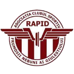 acs-rapid-frumosii-nebuni-ai-giulestiului