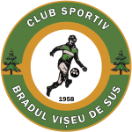 cso-bradul-viseu