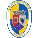 cs-orasenesc-copsa-mica-ii