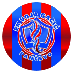 fk-voja-gacic-pancevo